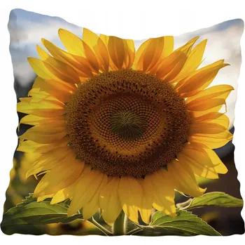 Polštář Povlak na polštář s květinami 50x50 cm