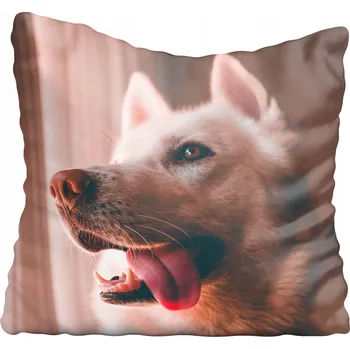 Povlak na polštářek Dekorační povlak na polštář s motivy psů 80x80 cm