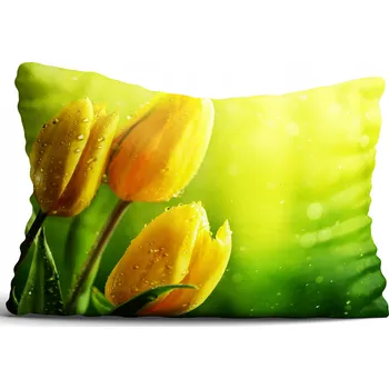 Povlak na polštářek Povlak na polštář Tulipány 60x80 cm