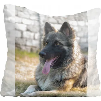 Polštář Dekorační povlak na polštář s motivem psa 30x30 cm