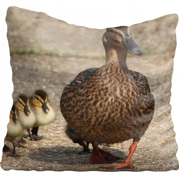 Povlak na polštářek Dekorační povlak na polštář s kachničkami 80x80 cm