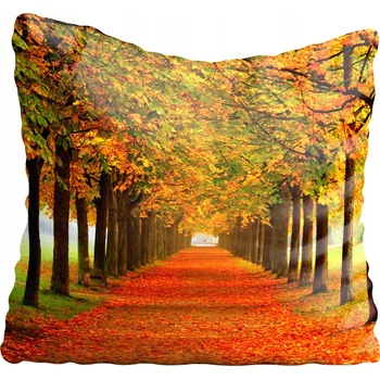 Polštář Povlak na polštář PODZIM 50x50 cm