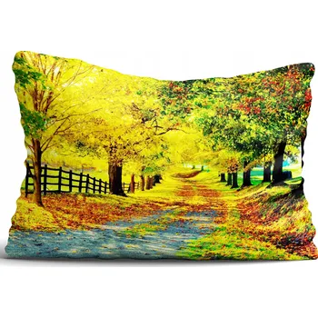 Povlak na polštářek Povlak na polštář podzimní, list 30x50cm