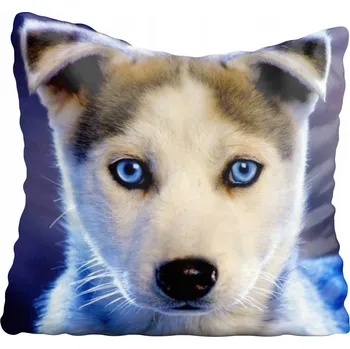 Povlak na polštářek Dekorační povlak na polštář s motivy psů 55x55 cm