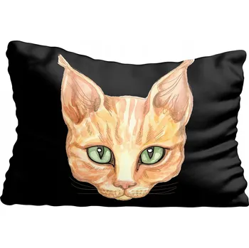 Povlak na polštářek Povlak na polštář s motivem kočky, koťata 40x60 cm