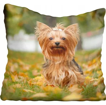 Povlak na polštářek Dekorační povlak na polštář s motivy psů 60x60 cm