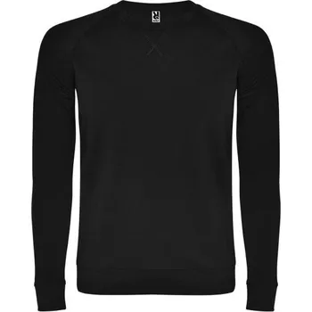 Pánská mikina ROLY Mikina Annapurna pánská - AKCE! E1104-02-L L Černá