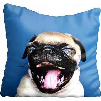 Polštář Povlak na polštář PES 50x50 cm