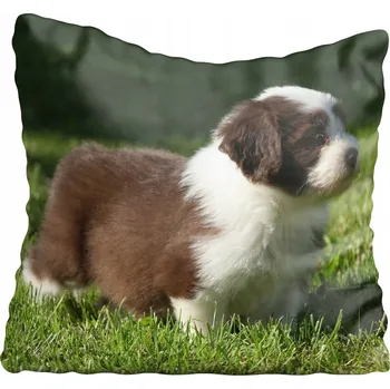 Polštář Dekorační povlak na polštář s motivy psů 40x40 cm