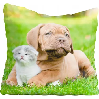 Povlak na polštářek Dekorační povlak na polštář s motivy psů 45x45 cm