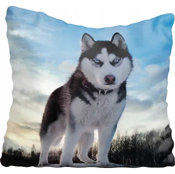 Povlak na polštářek Dekorační povlak na polštář s motivy psů 60x60 cm