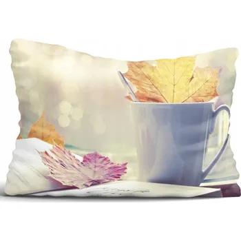 Povlak na polštářek Povlak na polštář Dekorační 50x70cm V04