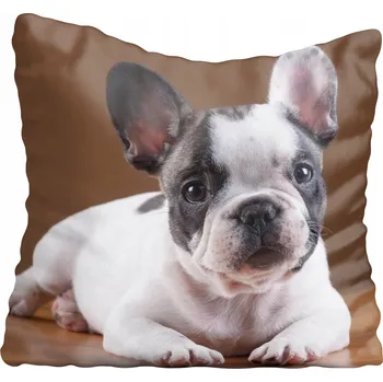 Povlak na polštářek Dekorační povlak na polštář s motivy psů 55x55 cm