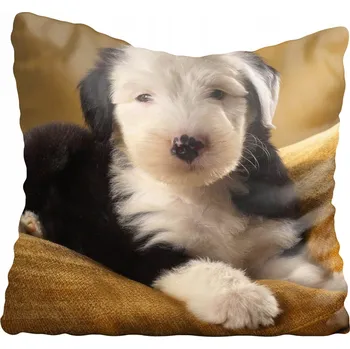 Povlak na polštářek Dekorační povlak na polštář s motivy psů 55x55 cm