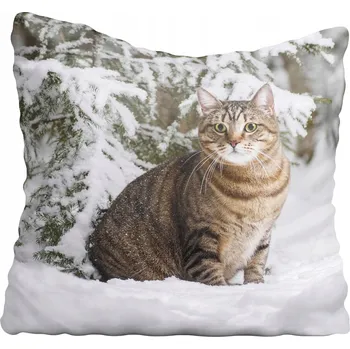 Povlak na polštářek Dekorační povlak na polštář s motivem kočky 65x65 cm