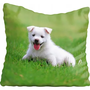 Povlak na polštářek Dekorační povlak na polštář s motivy psů 60x60 cm