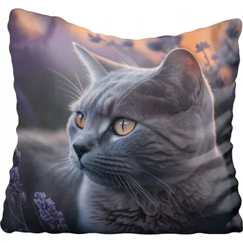 Povlak na polštářek Dekorační povlak na polštář s motivem kočky 60x60 cm