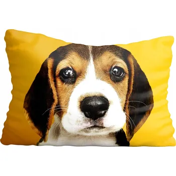 Polštář Povlak na polštář PES 20x30 cm