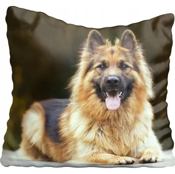 Povlak na polštářek Dekorační povlak na polštář pes 75x75 cm