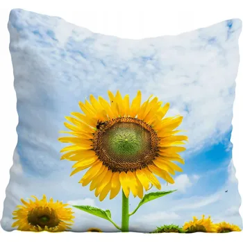 Povlak na polštářek Povlak na polštář s květinami 45x45 cm