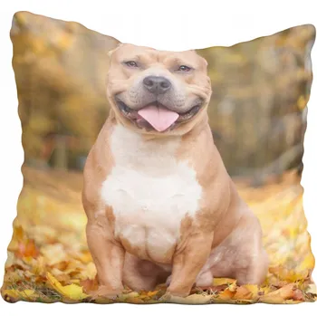 Povlak na polštářek Dekorační povlak na polštář s motivy psů 55x55 cm