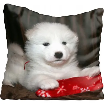 Povlak na polštářek Dekorační povlak na polštář s motivy psů 55x55 cm