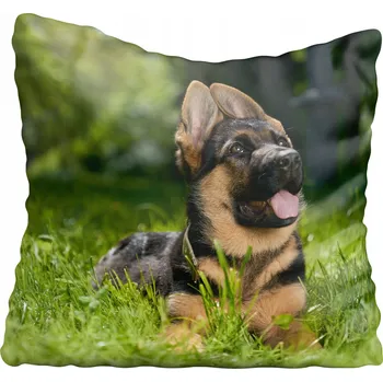 Polštář Dekorační povlak na polštář s motivem psa 50x50 cm
