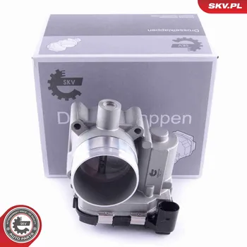 Systém vstřikování Hrdlo škrticí klapky ESEN SKV 12SKV100