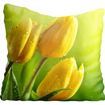 Polštář Povlak na polštář Tulipany 60x60 cm tulipany