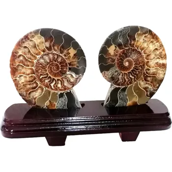 Přírodní kámen Velký amonit – obě leštěné půlky, 0,613 kg, stojánek součástí