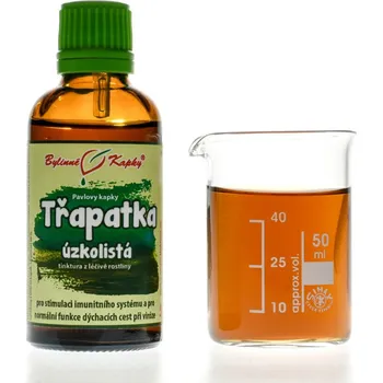 Doplněk stravy Bylinné kapky s.r.o. Echinacea angustifolia kořen (třapatka úzkolistá) Pavlovy bylinné kapky (tinktura) 50 ml