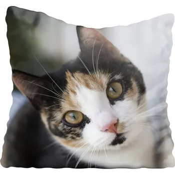 Povlak na polštářek Dekorační povlak na polštář s kočkami 45x45 cm