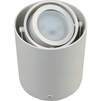 Stropní Svítidlo Přisazené Jednoduché Nastavitelné