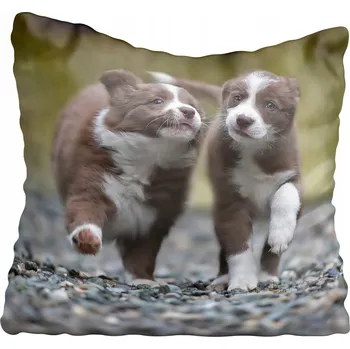 Povlak na polštářek Dekorační povlak na polštář s motivy psů 60x60 cm