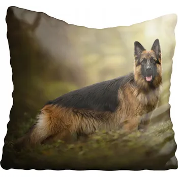 Polštář Dekorační povlak na polštář s motivem psa 50x50 cm