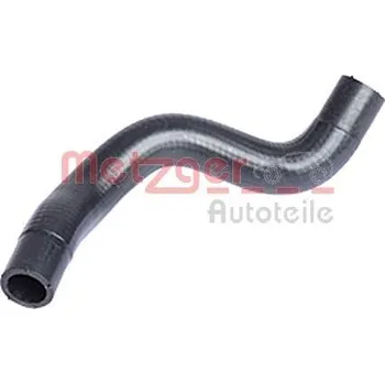 Motor automobilu Hadice chladiče METZGER 2420051
