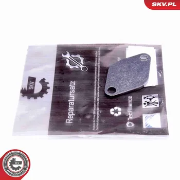 Palivový systém Sada na opravu, ventil AGR ESEN SKV 14SKV541