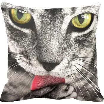 Povlak na polštářek Povlak na polštář Kočka 55x55 cm
