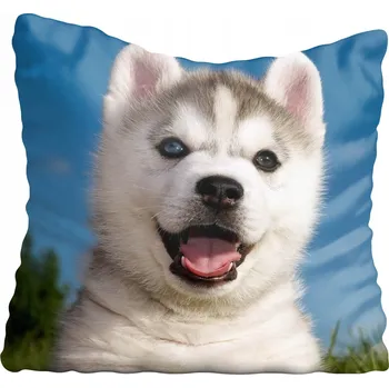 Povlak na polštářek Dekorační povlak na polštář s motivy psů 35x35 cm