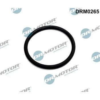 Auto-moto Těsnění, vedení AGR ventilu Dr.Motor Automotive DRM0265
