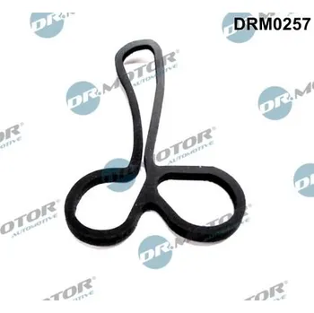 Motor automobilu Těsnění, chladič oleje Dr.Motor Automotive DRM0257