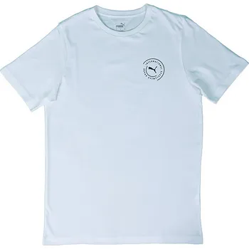 Pánské tričko PUMA BLANK BASE MENS TEE S 264238