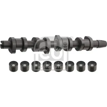 Vačková hřídel Sada vačkového hřídele FEBI BILSTEIN 33195