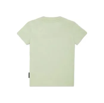 Pánské oblečení PHILIPP PLEIN T-Shirt 28135 Zelená Regular Fit 4