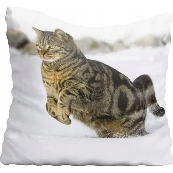 Povlak na polštářek Dekorační povlak na polštář s motivem kočky 30x30 cm
