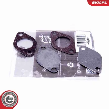 Palivový systém Sada na opravu, ventil AGR ESEN SKV 14SKV532