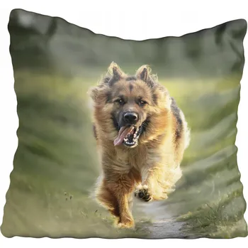 Povlak na polštářek Dekorační povlak na polštář s motivy psů 60x60 cm