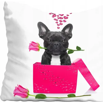 Povlak na polštářek Dekorační povlak na polštář s motivy psů 60x60 cm