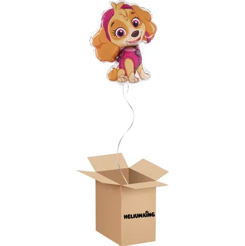 Party nádobí HeliumKing Balónový box - Paw Patrol Skye