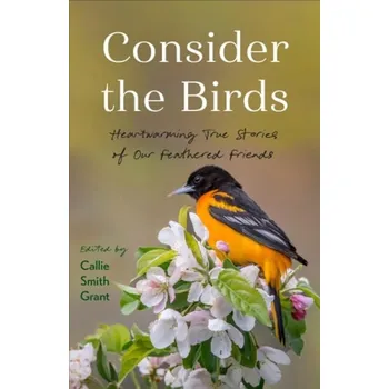 Consider the Birds